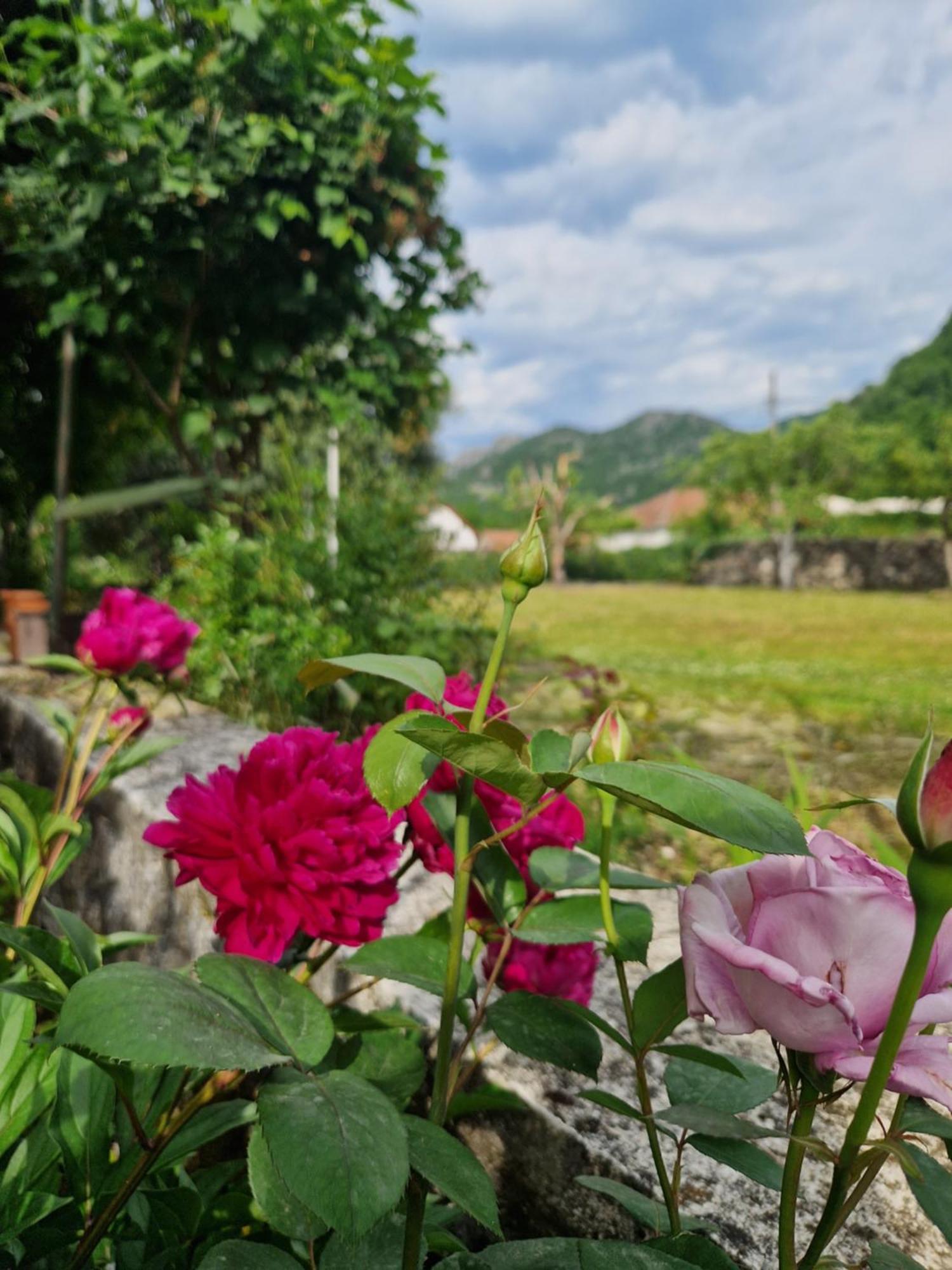 Ivan's Holiday Home Virpazar Buitenkant foto